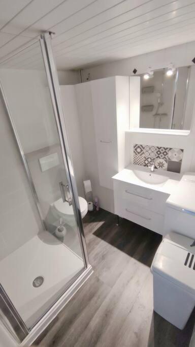 Joli T2 Avec Clim, 4/6 Personnes,500M De La Plage. Сен-Сіпріян Екстер'єр фото